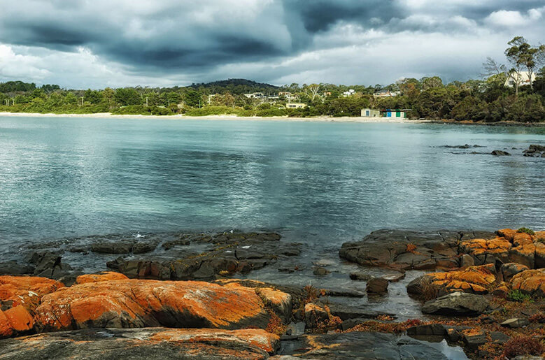 Environmental Events In Hobart and Tasmania